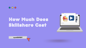 How Much Does Skillshare Cost - 2400Expert