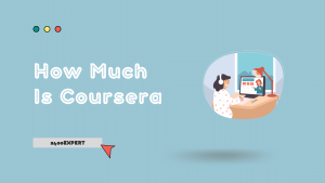 How Much Is Coursera - 2400Expert