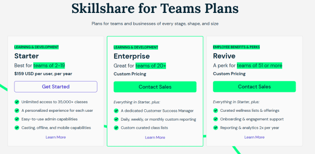 Skillshare Team Plan